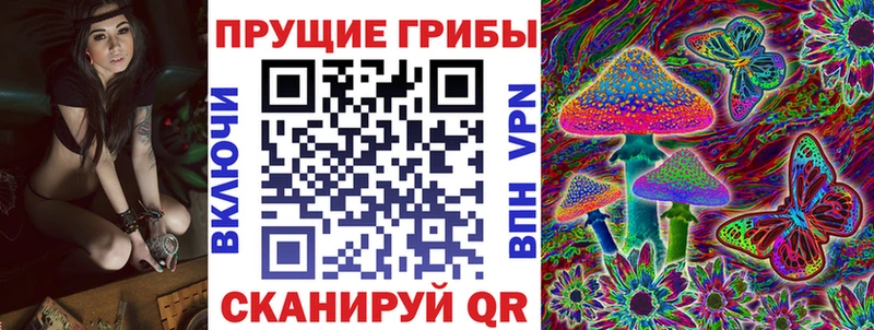 Купить где  Нефтеюганск  Псилоцибиновые грибы Psilocybine cubensis 